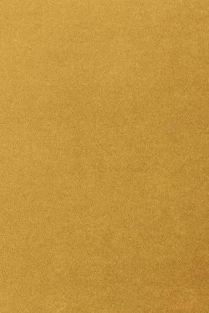 Ковровое покрытие AW Oinone 54 - (4м) в Орске