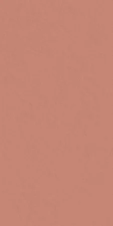 Керамогранит Italon Серфейс Скарлетт (Патинированная, 60x120) в Орске