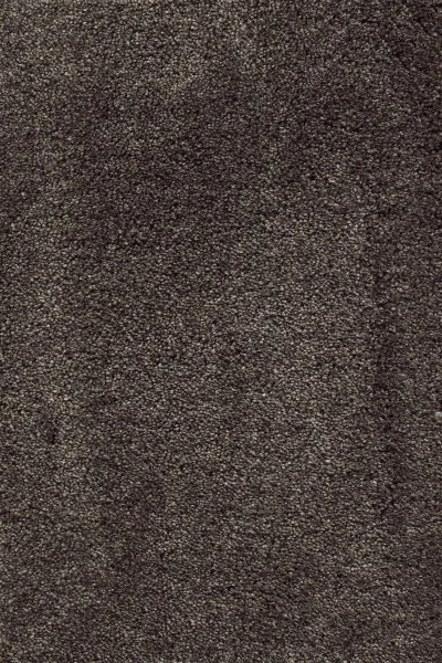 Ковровое покрытие AW Fedone 44 - (5м) в Орске