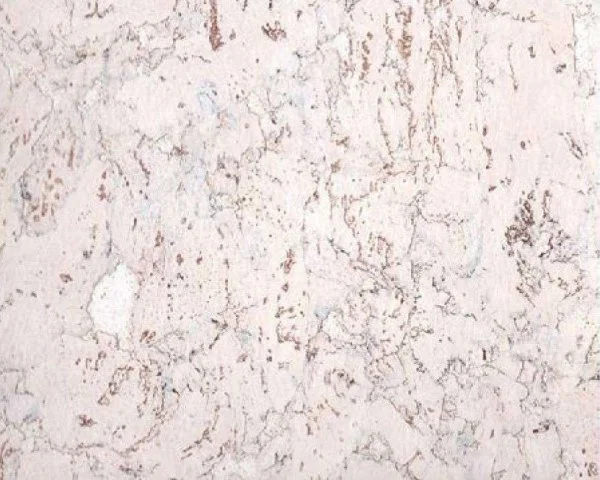 Настенное пробковое покрытие CorkArt PW 324 WS в Орске