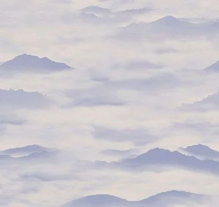 Обои Loymina Clair CLR4, 006 в Орске