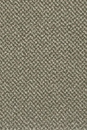 Ковровое покрытие AW Stainaway Tweed 24 - (4м) в Орске