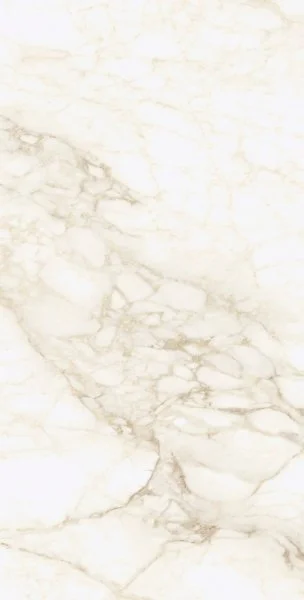 Керамогранит Coliseum Микеланджело Ворм 60х120 (Натуральный и Реттифицированный) в Орске