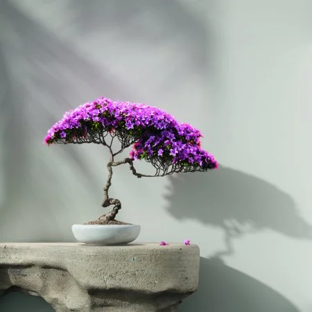 Обои Loymina Lotus LOT1 112 в Орске