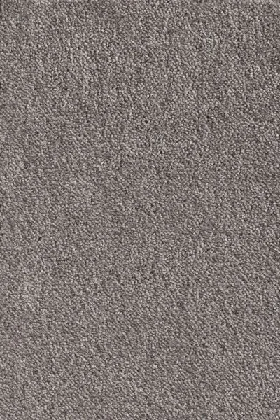 Ковровое покрытие AW Messalina 49 - (5м) в Орске