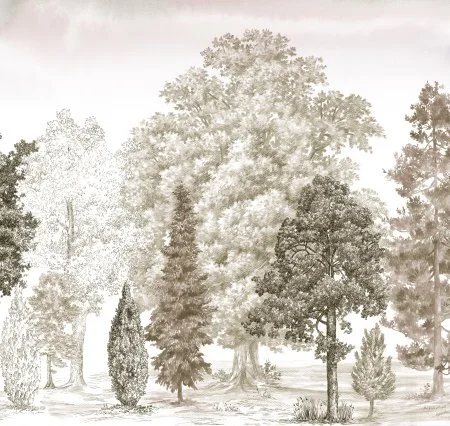 Обои Loymina Пейзаж vol. 2 ART14 012 в Орске