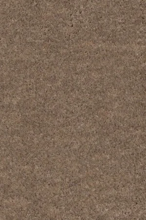 Ковровое покрытие AW Euphoria 36 - (5м) в Орске