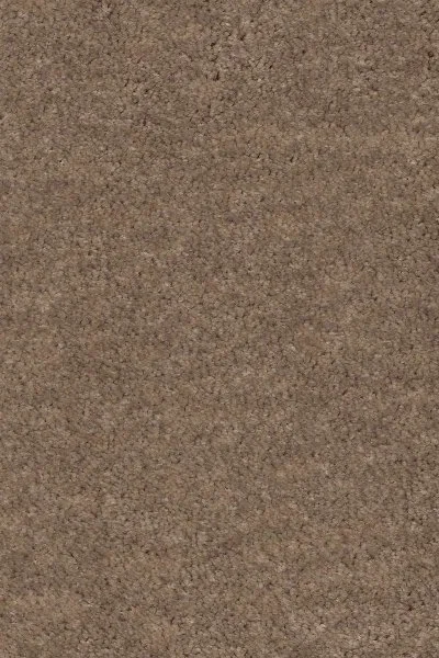 Ковровое покрытие AW Euphoria 36 - (4м) в Орске