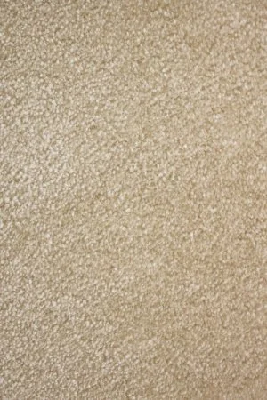 Ковровое покрытие AW Euphoria 33 - (4м) в Орске