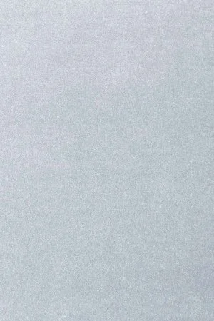 Ковровое покрытие AW Oinone 07 - (5м) в Орске