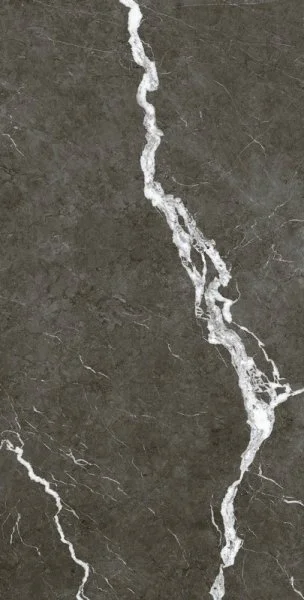 Керамогранит Coliseum Микеланджело Дарк 60х120 (Натуральный и Реттифицированный) в Орске