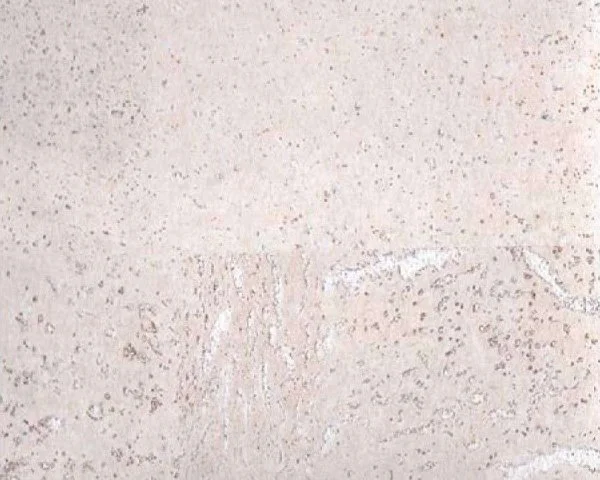 Настенное пробковое покрытие CorkArt PW 386 WS в Орске