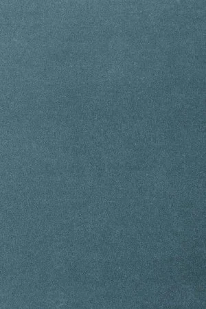 Ковровое покрытие AW Oinone 74 - (4м) в Орске