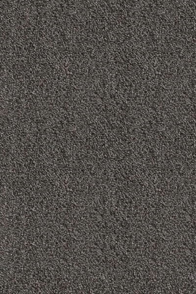 Ковровое покрытие AW Messalina 99 - (5м) в Орске