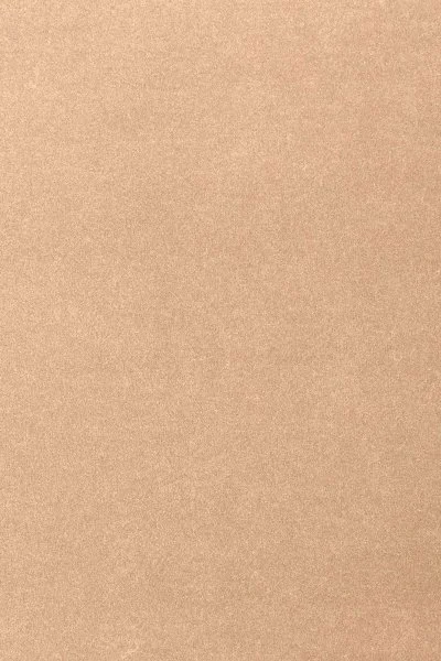 Ковровое покрытие AW Oinone 08 - (4м) в Орске