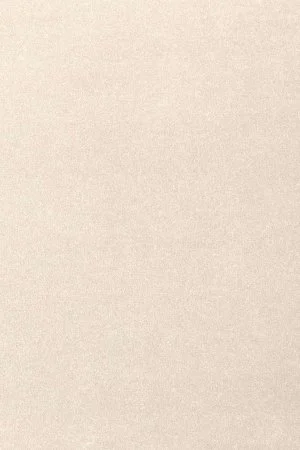 Ковровое покрытие AW Oinone 03 - (5м) в Орске