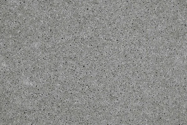 Ковровое покрытие AW Gala 90 - (4м) в Орске