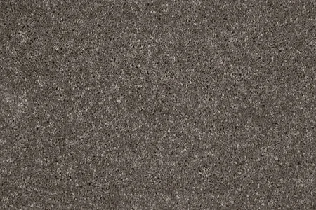 Ковровое покрытие AW Gala 49 - (5м) в Орске