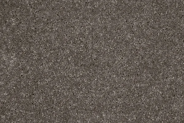 Ковровое покрытие AW Gala 49 - (4м) в Орске