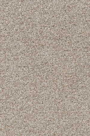 Ковровое покрытие AW Stainguard Harvest 04 - (4м) в Орске