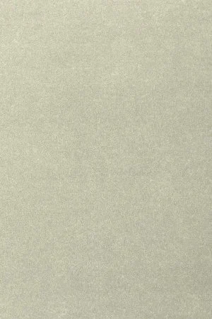 Ковровое покрытие AW Oinone 02 - (5м) в Орске