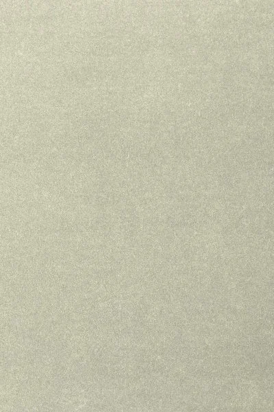 Ковровое покрытие AW Oinone 02 - (4м) в Орске