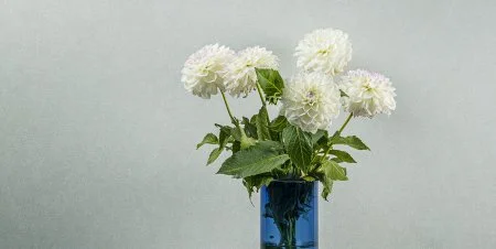 Обои Loymina Shade vol.2 SDR5, 001 в Орске