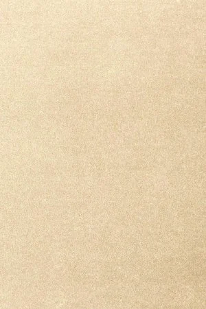 Ковровое покрытие AW Oinone 33 - (5м) в Орске