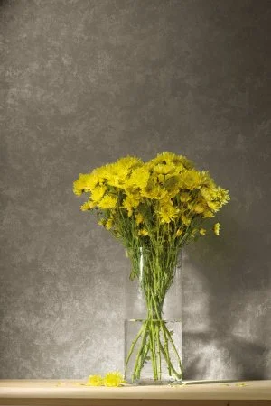 Обои Loymina Golden Library TDG 7, 008 в Орске