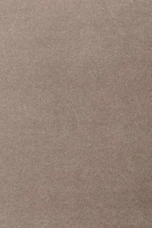 Ковровое покрытие AW Oinone 49 - (5м) в Орске