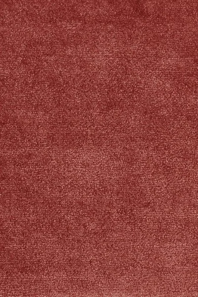 Ковровое покрытие AW Omphale 10 - (5м) в Орске