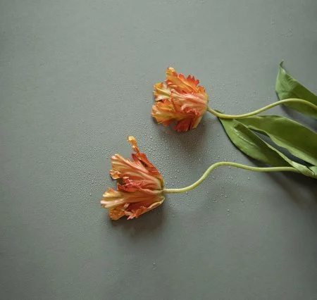 Обои Loymina Russian Classic Ru10, 006 в Орске