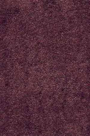 Ковровое покрытие AW Fedone 19 - (5м) в Орске