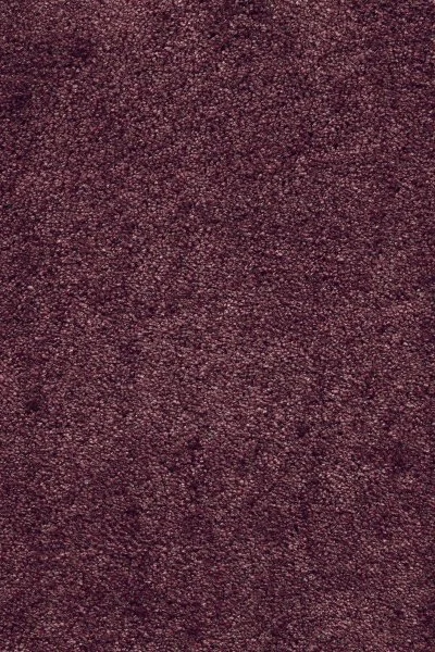 Ковровое покрытие AW Fedone 19 - (5м) в Орске