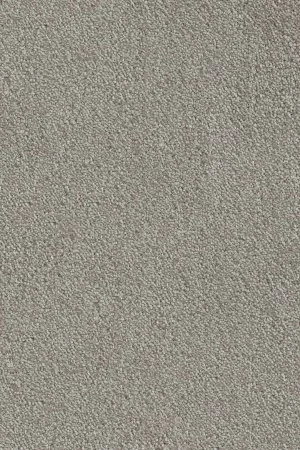 Ковровое покрытие AW Messalina 9 - (5м) в Орске