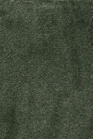 Ковровое покрытие AW Fedone 24 - (5м) в Орске