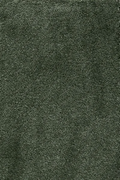 Ковровое покрытие AW Fedone 24 - (5м) в Орске