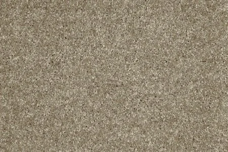 Ковровое покрытие AW Gala 33 - (5м) в Орске