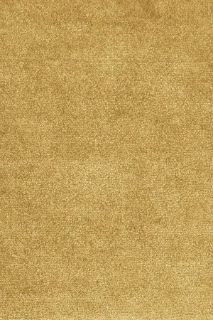 Ковровое покрытие AW Omphale 54 - (5м) в Орске