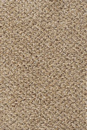 Ковровое покрытие AW Stainaway Tweed 50 - (4м) в Орске