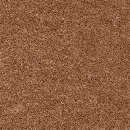 Ковровое покрытие AW Euphoria 84 - (5м) в Орске