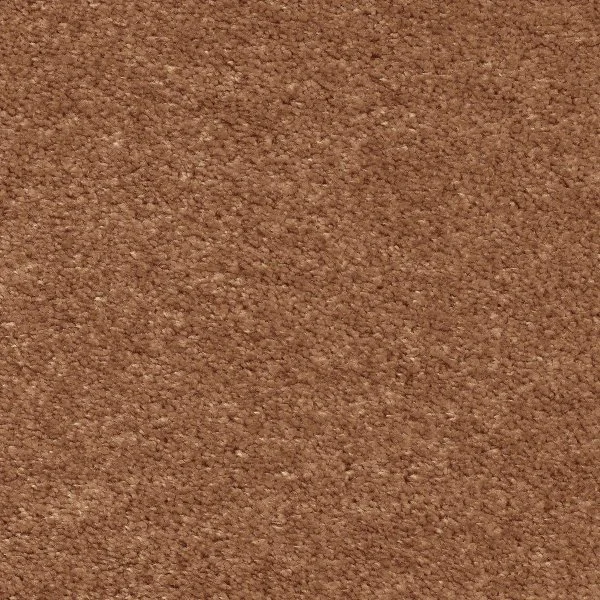 Ковровое покрытие AW Euphoria 84 - (5м) в Орске