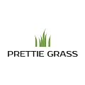 Искусственная трава Prettie Grass купить в Орске по выгодной цене Искусственная трава Prettie Grass в Орске
