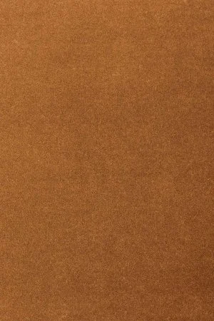 Ковровое покрытие AW Oinone 84 - (5м) в Орске