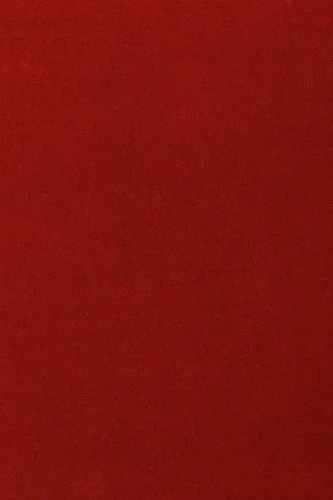 Ковровое покрытие AW Oinone 10 - (4м) в Орске