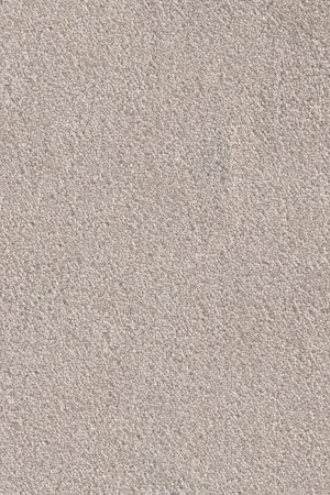 Ковровое покрытие AW Messalina 37 - (5м) в Орске