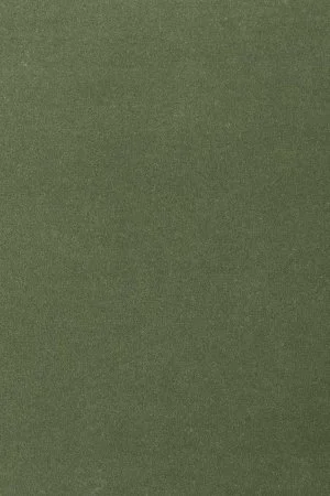 Ковровое покрытие AW Oinone 24 - (4м) в Орске