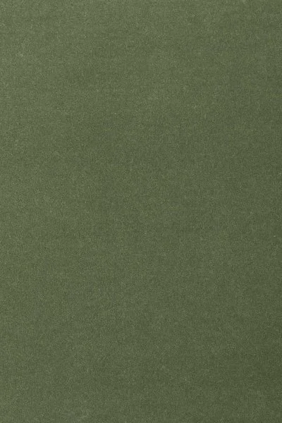 Ковровое покрытие AW Oinone 24 - (4м) в Орске