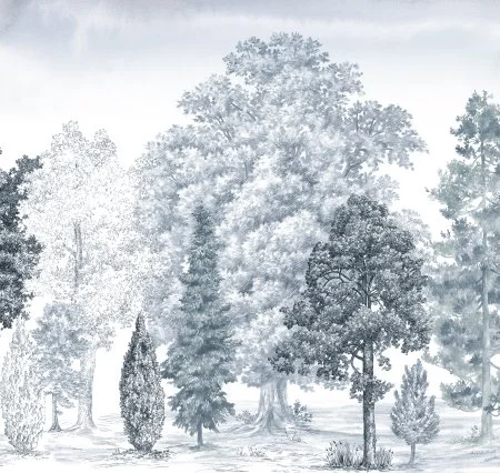 Обои Loymina Пейзаж vol. 2 ART14 006 в Орске