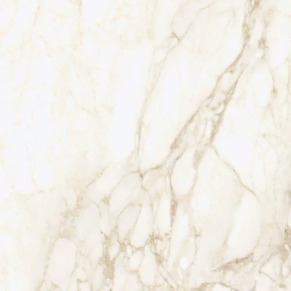 Керамогранит Coliseum Микеланджело Ворм 60х60 (Натуральный и Реттифицированный) в Орске